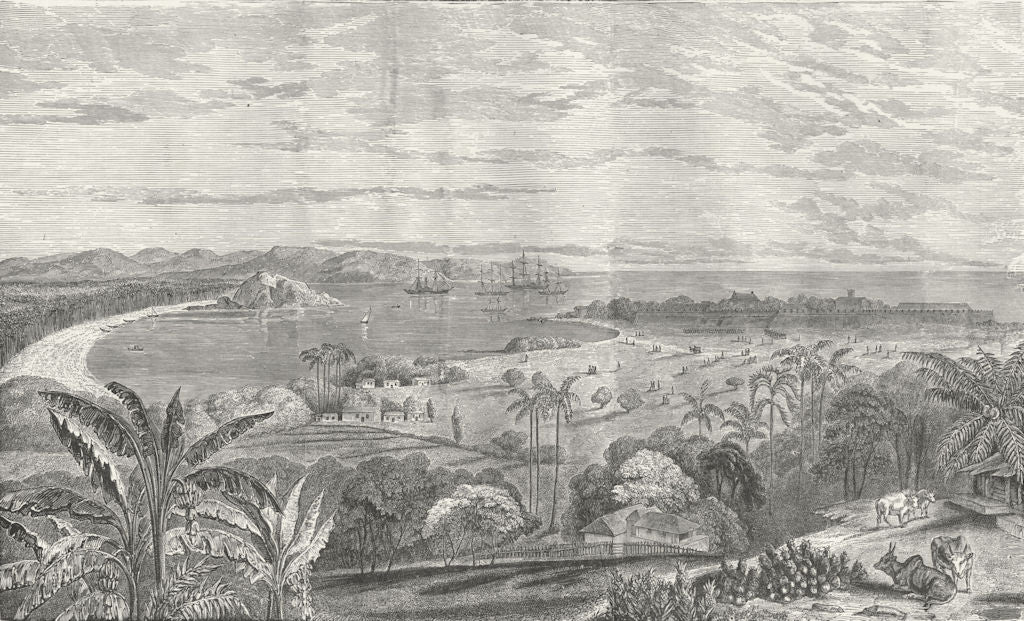 SRI LANKA. Harbour of Point De Galle 1880 old antique vintage print picture